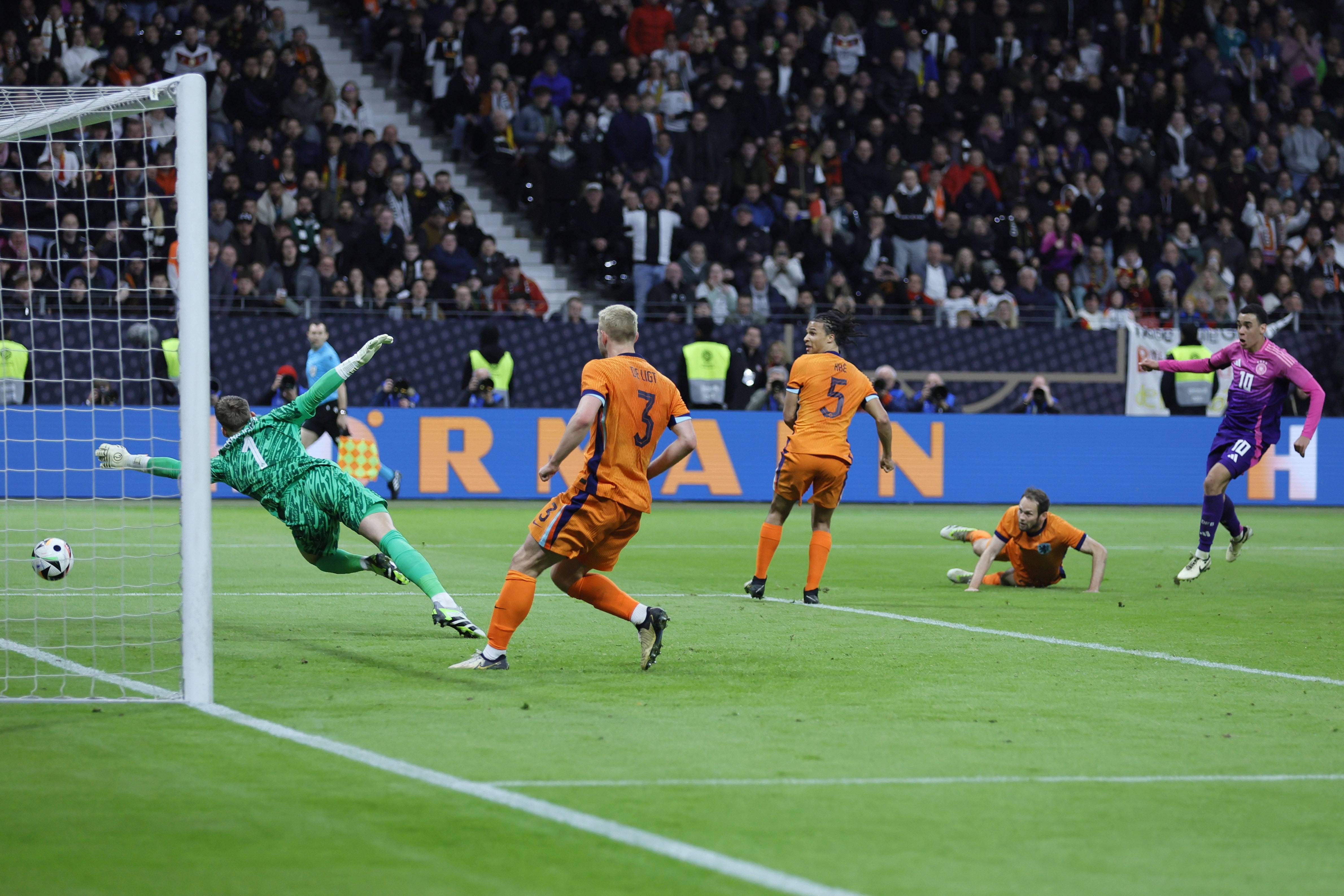 他们推出了 他们推出了